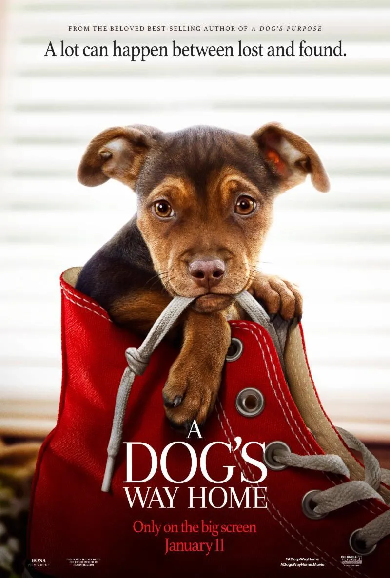 A Dog's Way Home 2019 Dual Audio 720p WEBRip