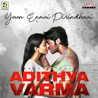 Adithya Varma 2019 Hindi Dubbed 1080p WEBRip