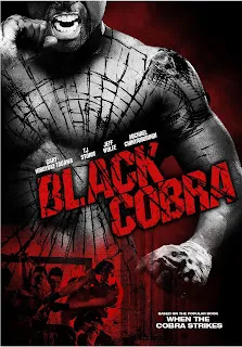 Black Cobra 2012 Dual Audio 720p BluRay