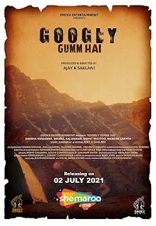 Download Googly Gumm Hai (2021) Hindi 720p WEBRip Full Movie