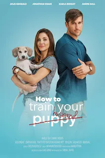 How to Train Your Husband 2018 Hindi Dual Audio 720p WEBRIP