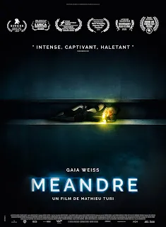 Meander (2020) Dual Audio 1080p BluRay