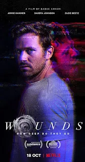 Wounds 2019 Dual Audio 720p WEBRip