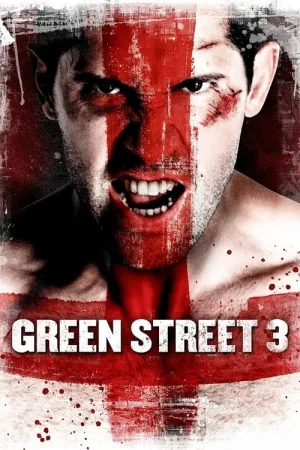 Green Street 3: Never Back Down 2013 Poster